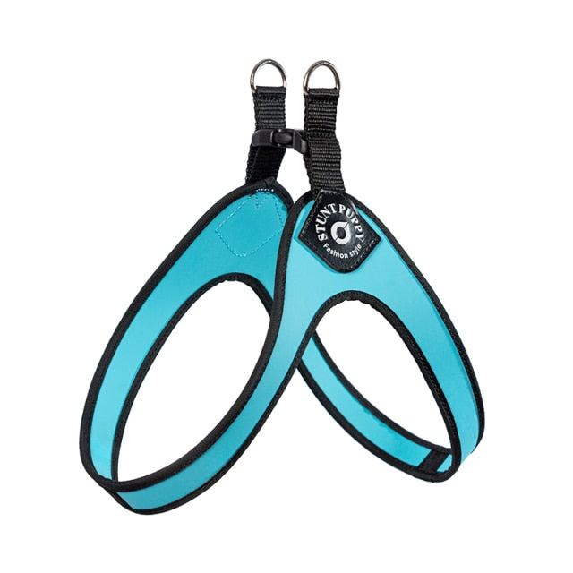 Easy-Walk™ - No Pull French Bulldog Harness (WS601)