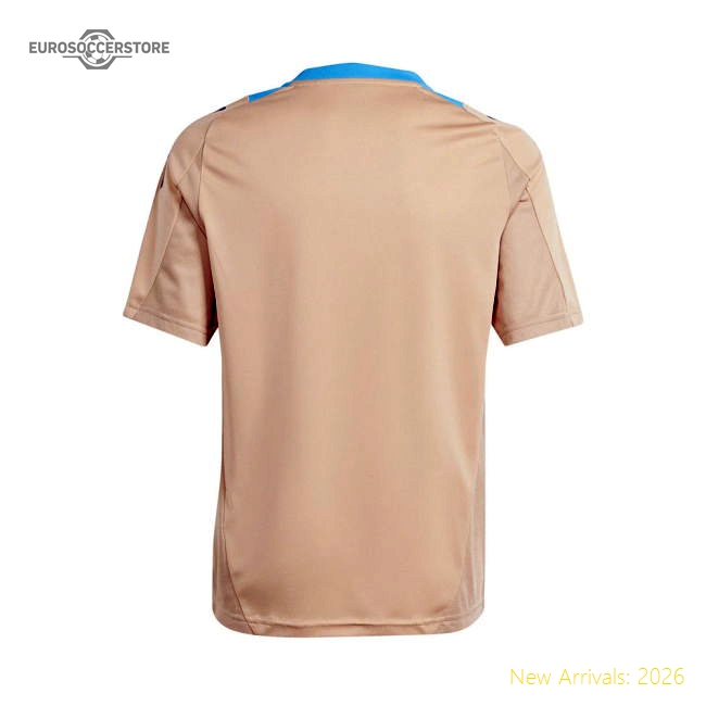 Argentina Training 20242025 Training Authentic Shirt Slim