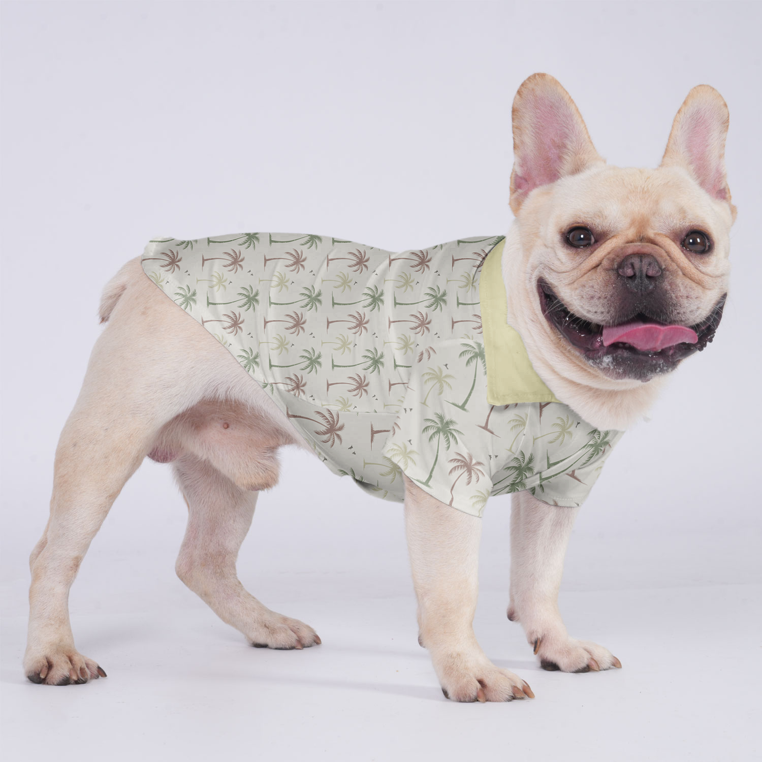 High-Quality Ginger - Hawaiian Shirt For Frenchies for Everyday Wear