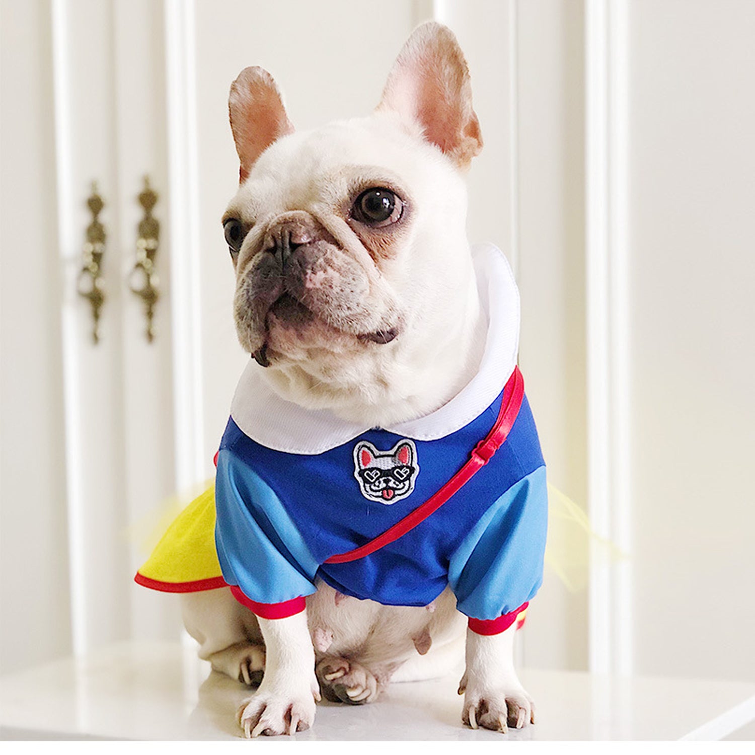 BarkToria Frenchie Snow White Costume – Cute Princess Dress with Apple Backpack