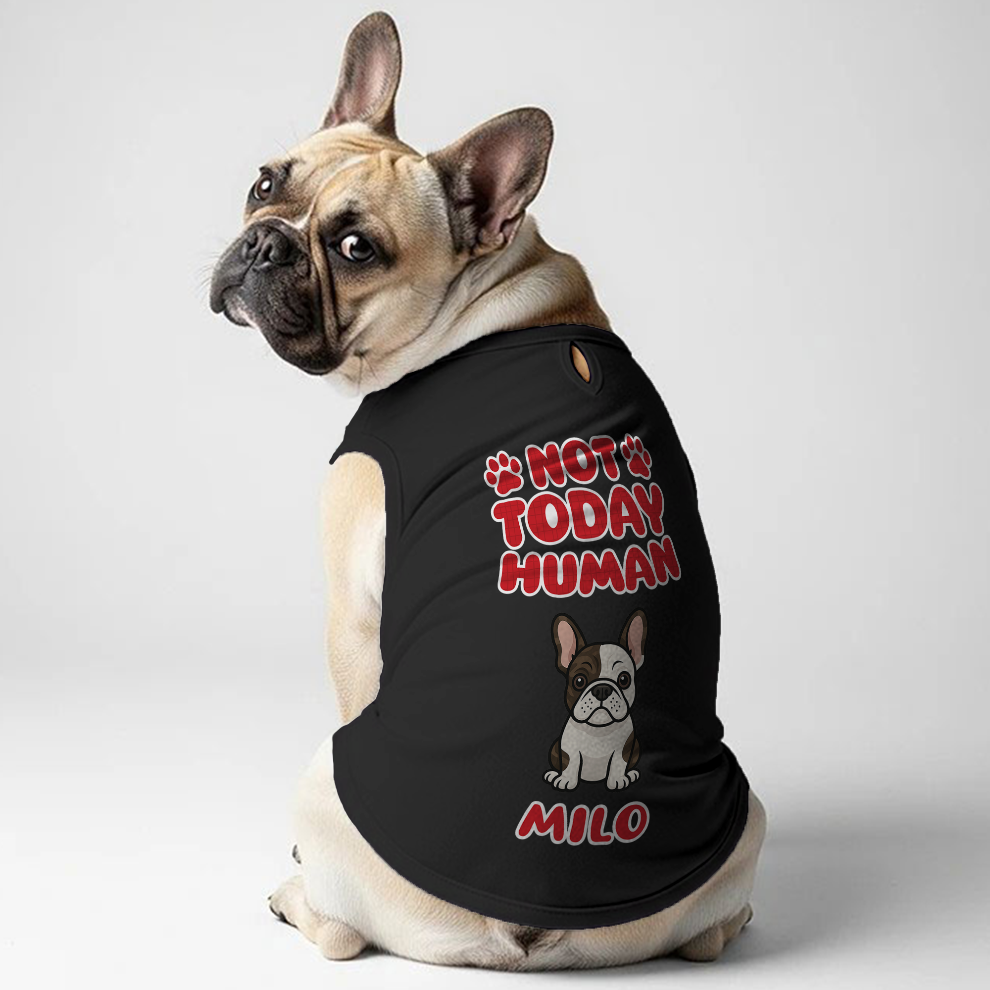 Not Today - Personalized Frenchie Shirt | Custom Dog T-Shirt for French Bulldogs