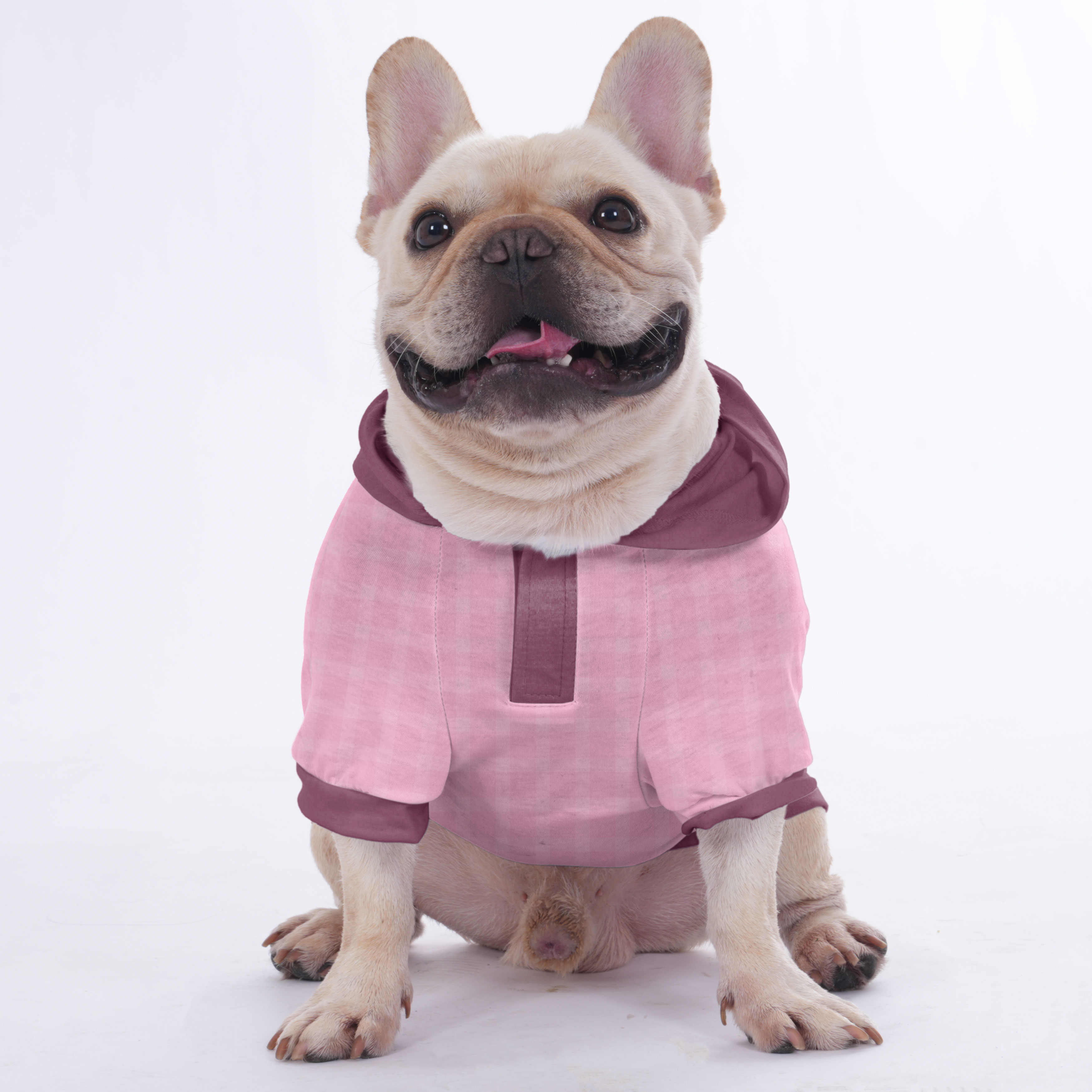 Durable Custom French Bulldog Hoodies With Your Frenchie's Name | Fre...