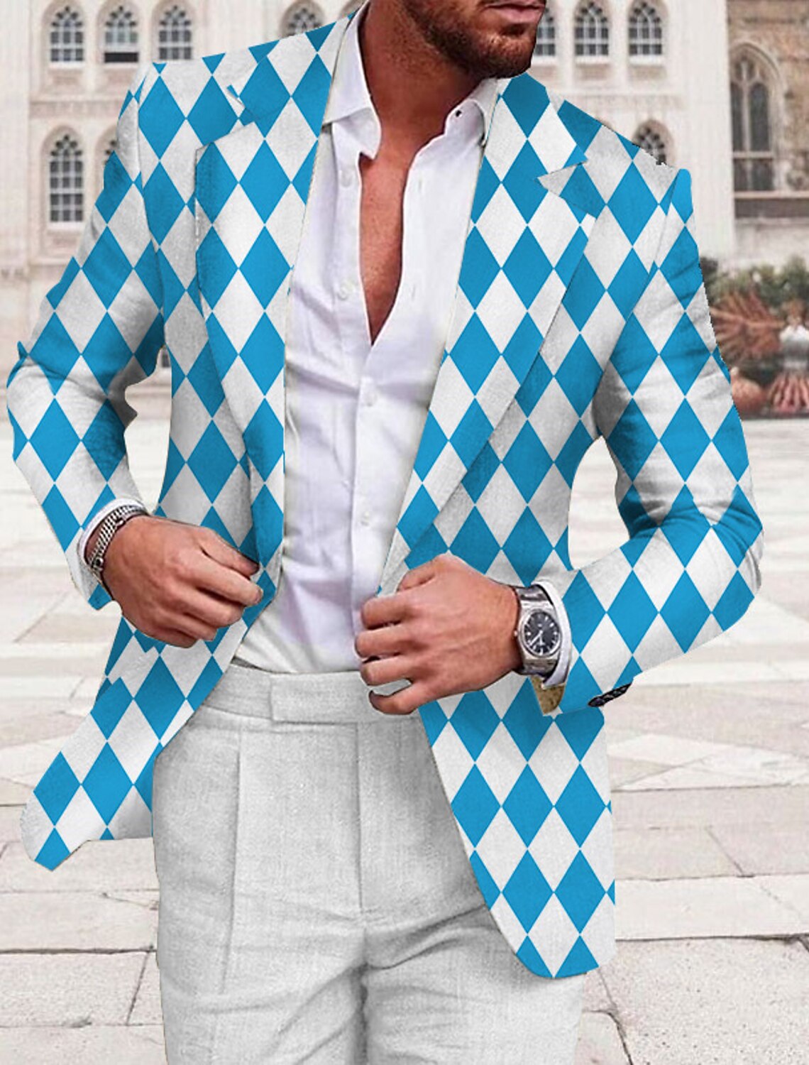 Men's Argyle Long Sleeve Turndown Business Work Wear to Going out