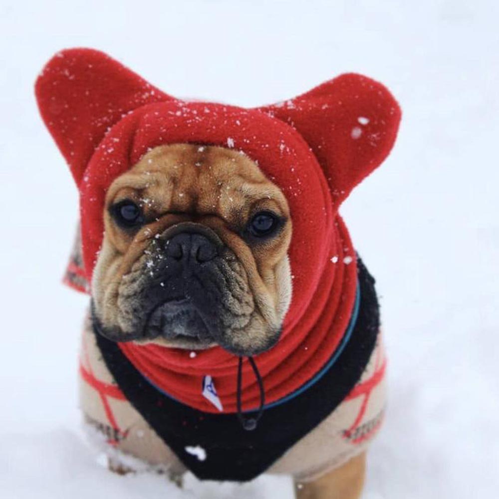 French Bulldog Soft Fleece Winter Hat
