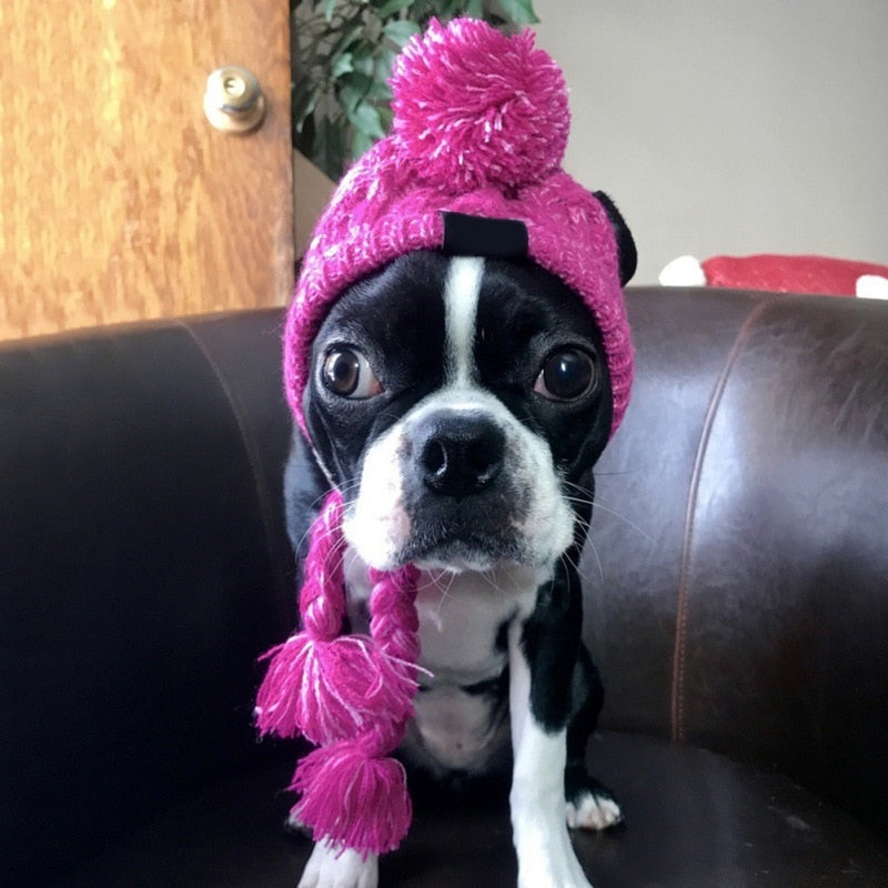 Winter Knitted Hat for French Bulldog - Best Frenchie Beanie