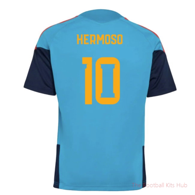 2025-2025 Spain Training Jersey (Bold Aqua) - Kids (Hermoso 10)