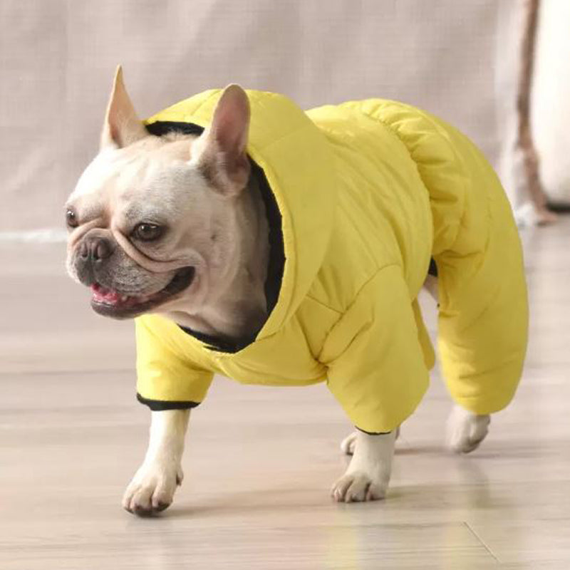 Snow Coat For French Bulldogs Winter Essential For Frenchie Pups