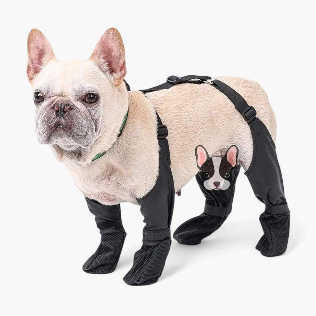 Durable Pawguard French Bulldog Footwear Soft And Stylish Paws Protec...