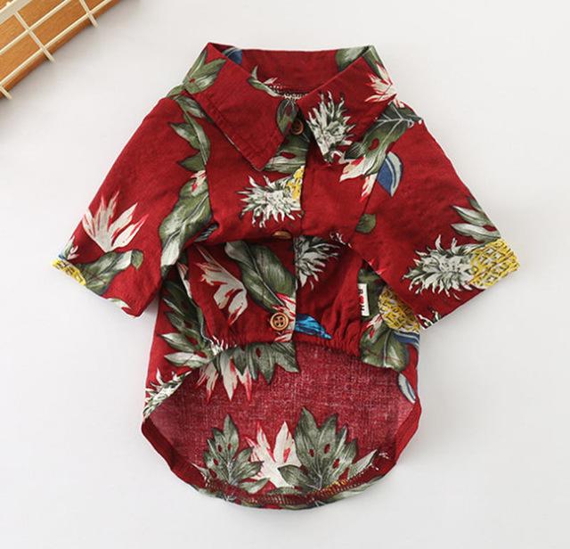 Frenchie Summer Shirt