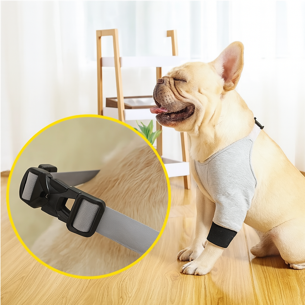 French Bulldog Pawtex Frenchie Front Leg Recovery Sleeve – Soft