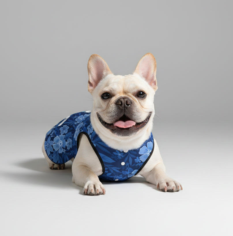 Addison - French Bulldog Dresses for Females