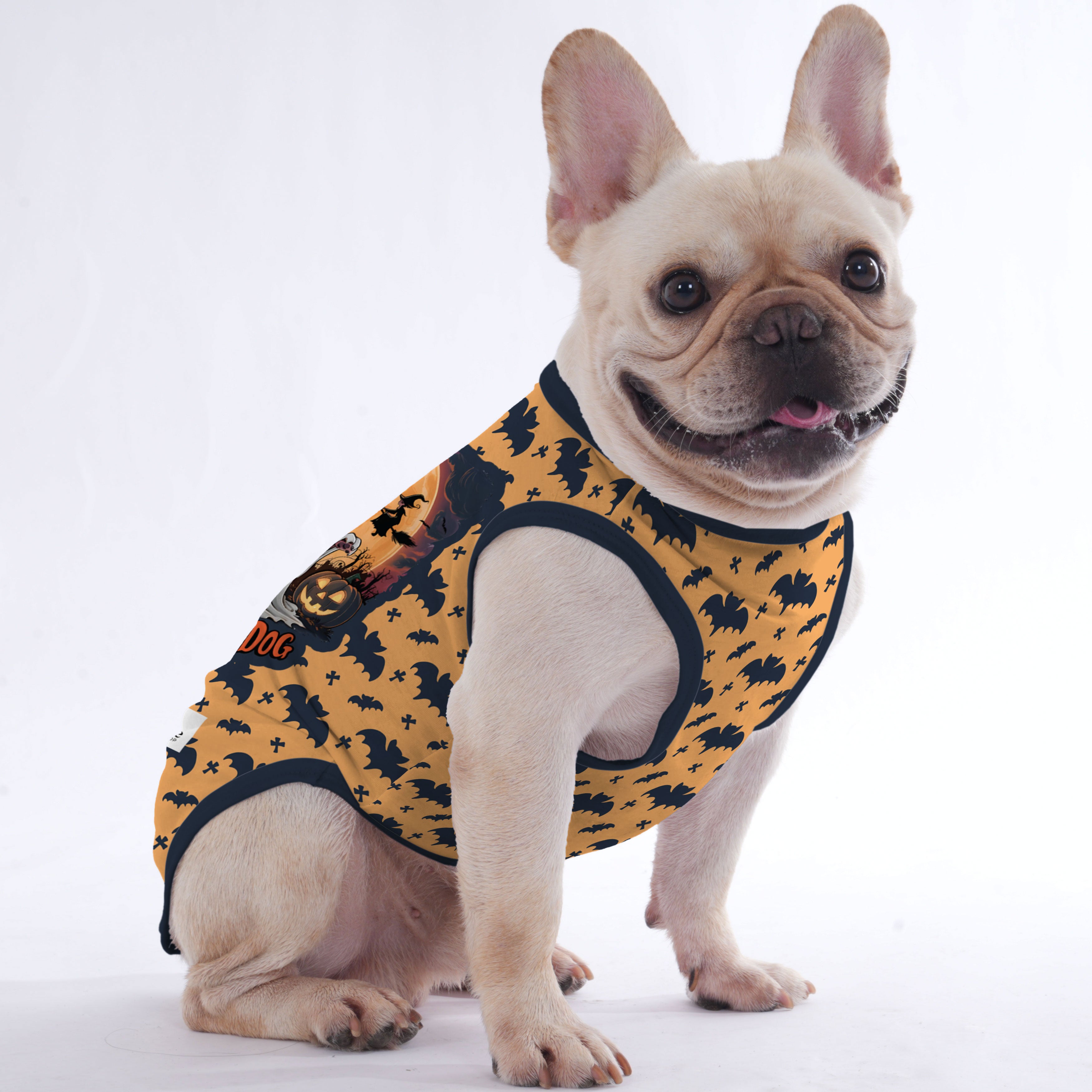 Rain - Halloween Shirt for Frenchies - Frenchie Shop Original