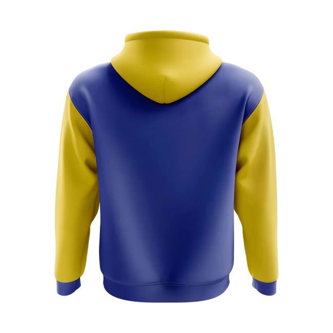 Climate-Control Elite Swaziland Concept Country Football Hoody (Blue)