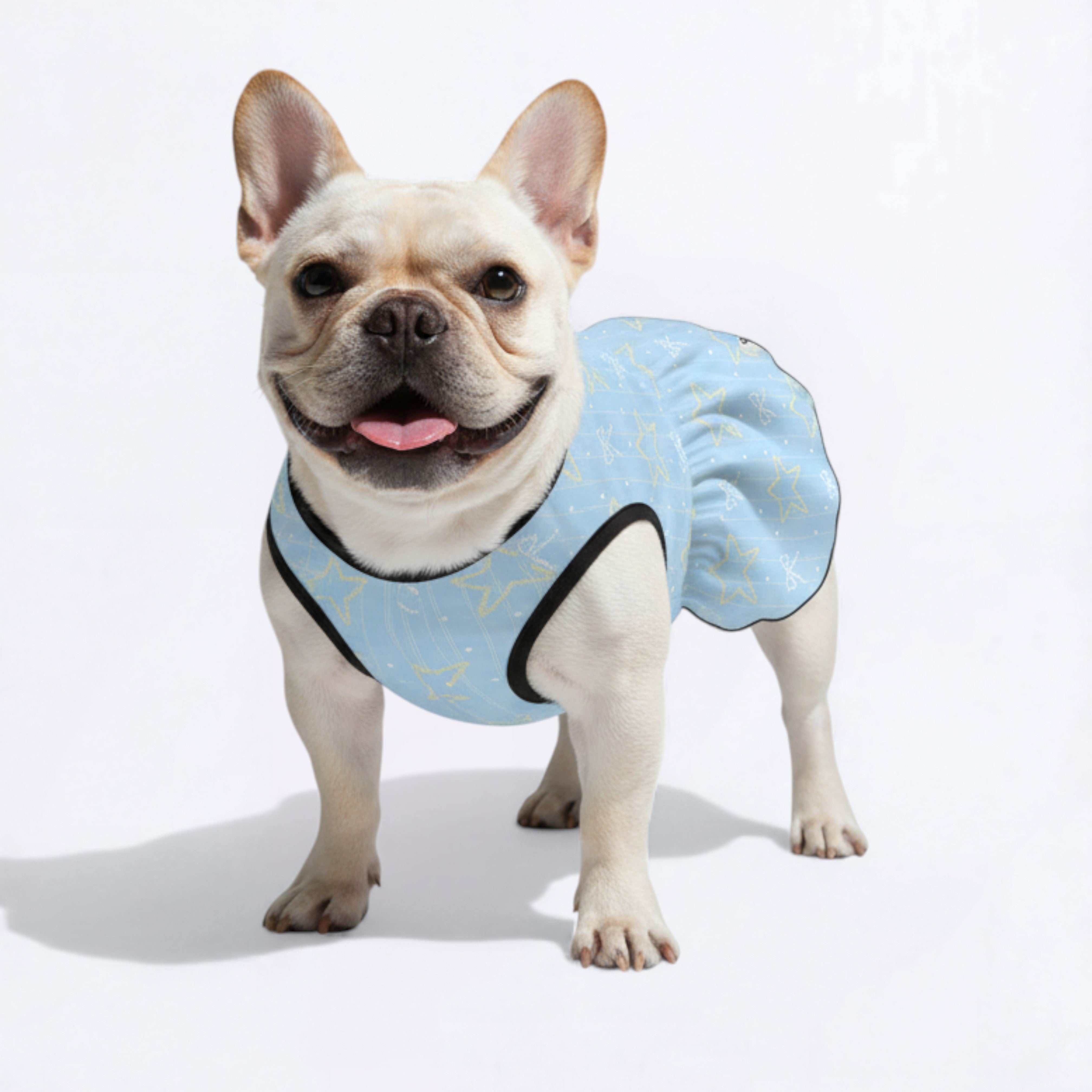 French Bulldog Dresses For Females For French Bulldogs | Vet-recommended