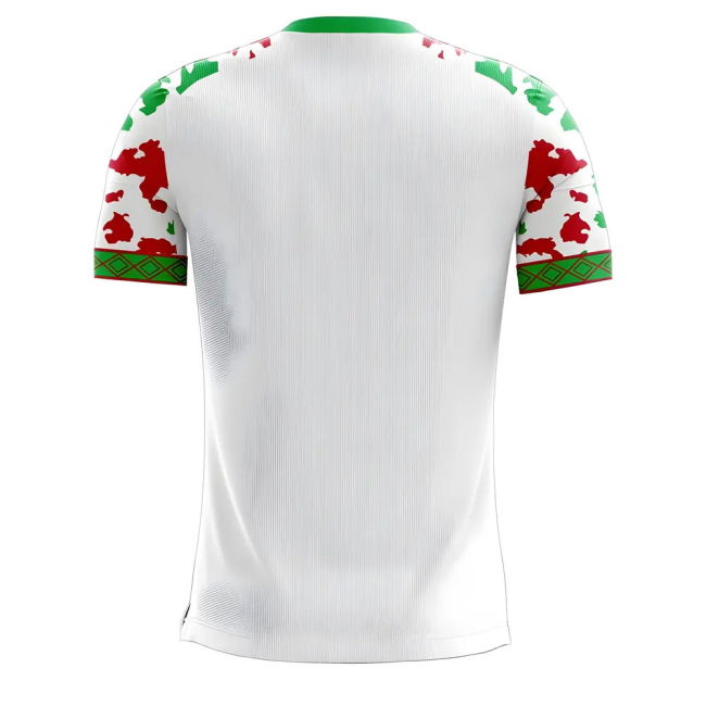 Myanmar 2025-2026 Home Concept Football Kit (Libero) - Womens