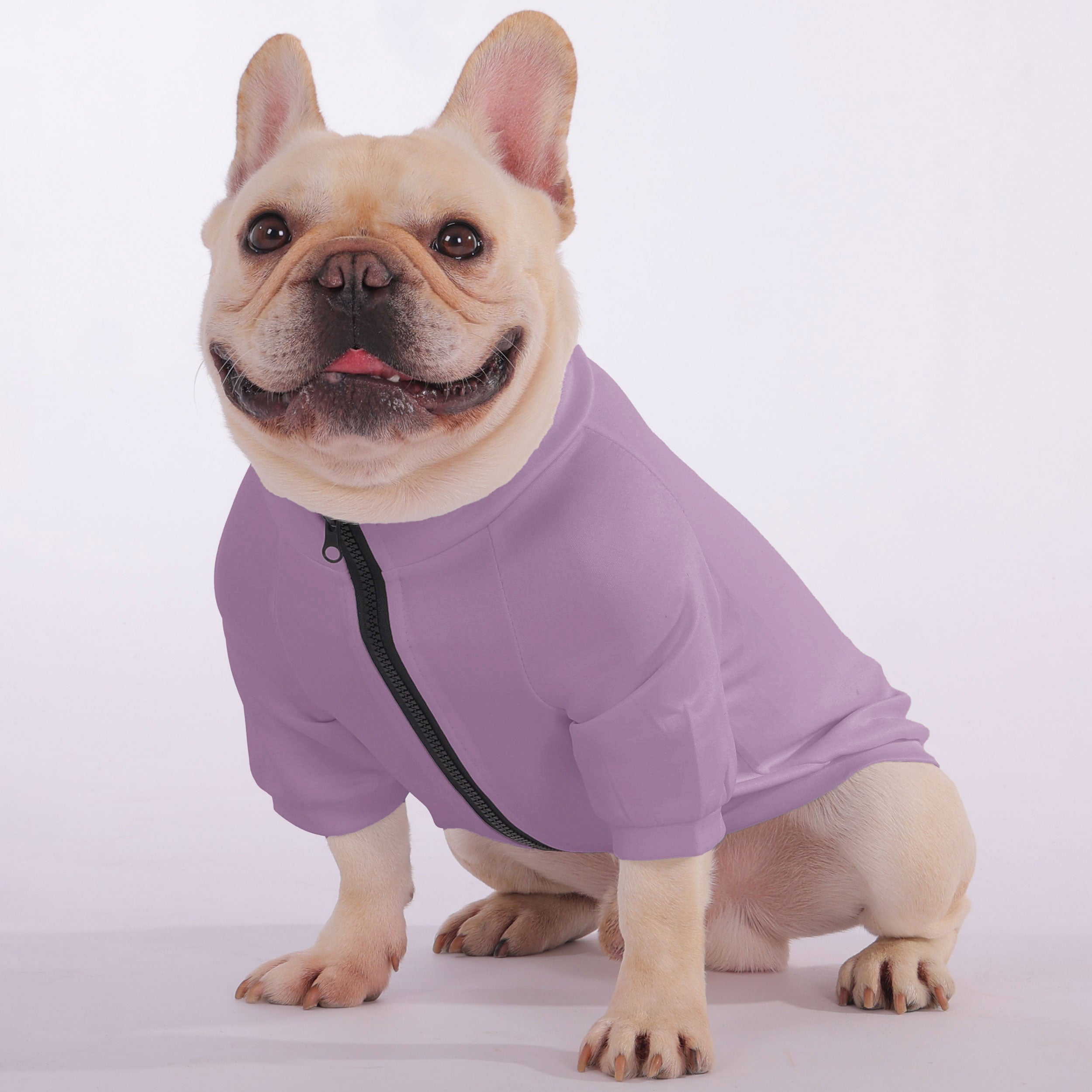 I'm Not Short, Just Extra Awesome - Snuggly Zip-Up Sweatshirt for French Bulldogs