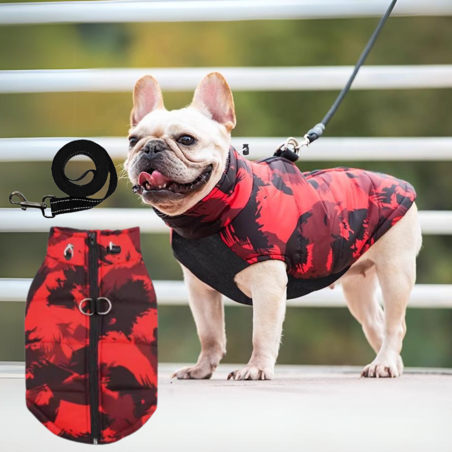 PupTrend Premium Frenchie Jacket