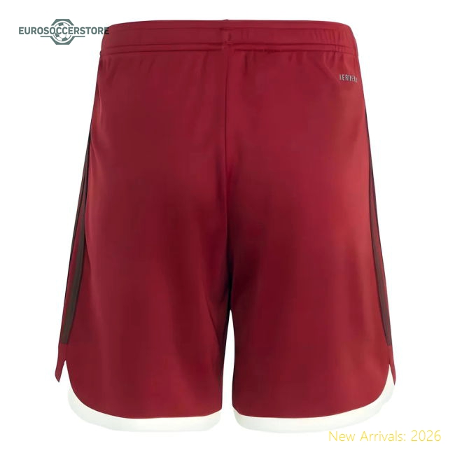 2023-2024 Bayern Munich Third Shorts (Red) - Kids