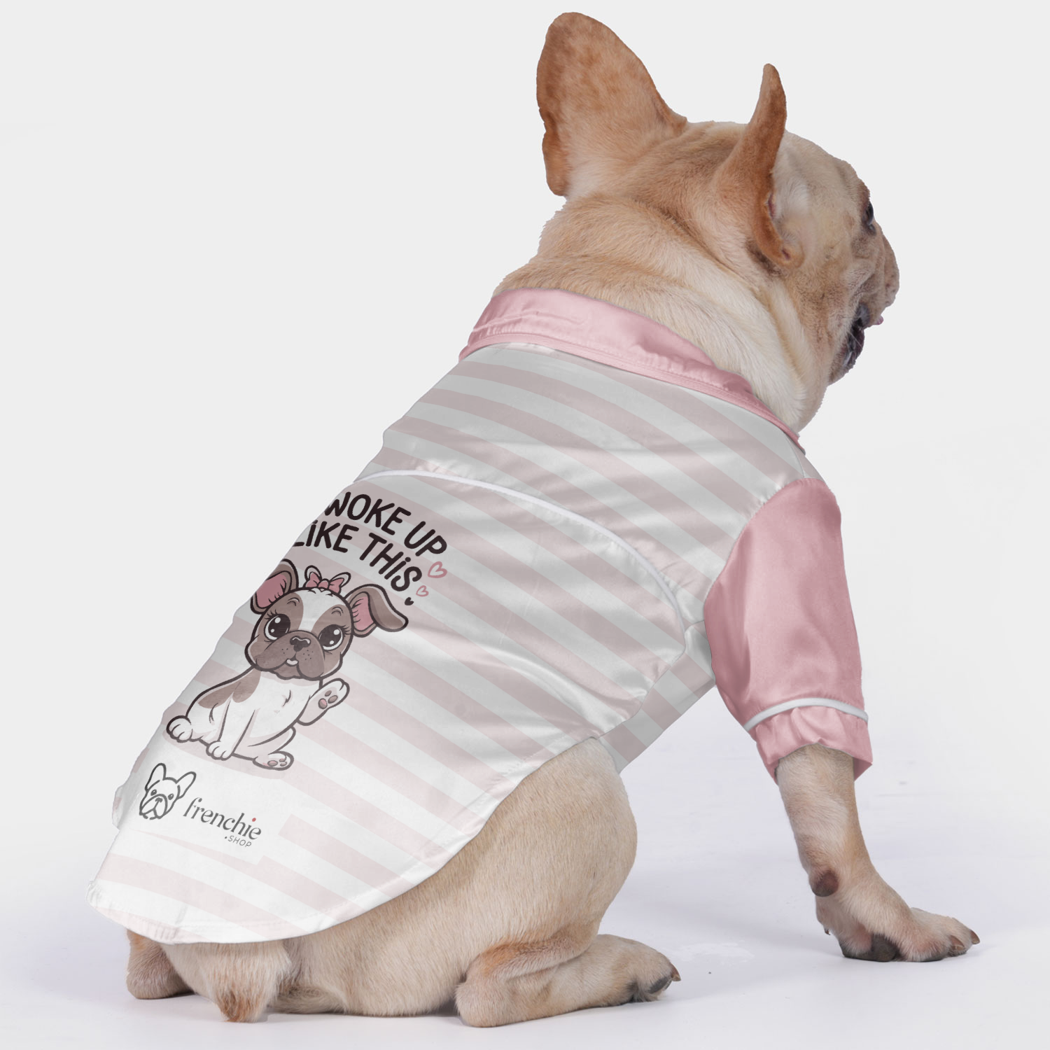 Pajamas For French Bulldog For French Bulldogs | Vet-recommended