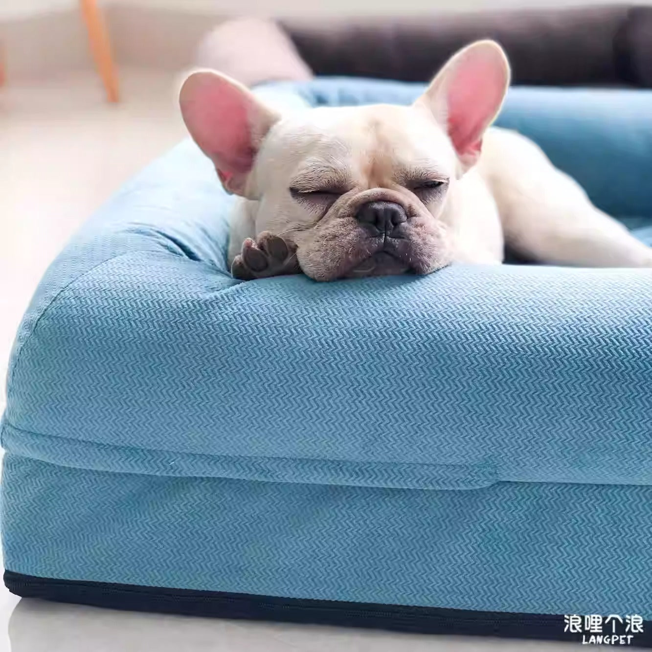Breed-Specific Dozora French Bulldog Sofa Bed – Orthopedic Dog Couch ...