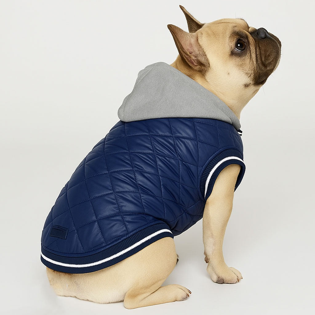 French Bulldog French Bulldog Cotton Jacket – Cozy Outdoor Plaid Jacket