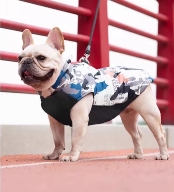 PupTrend Premium Frenchie Jacket