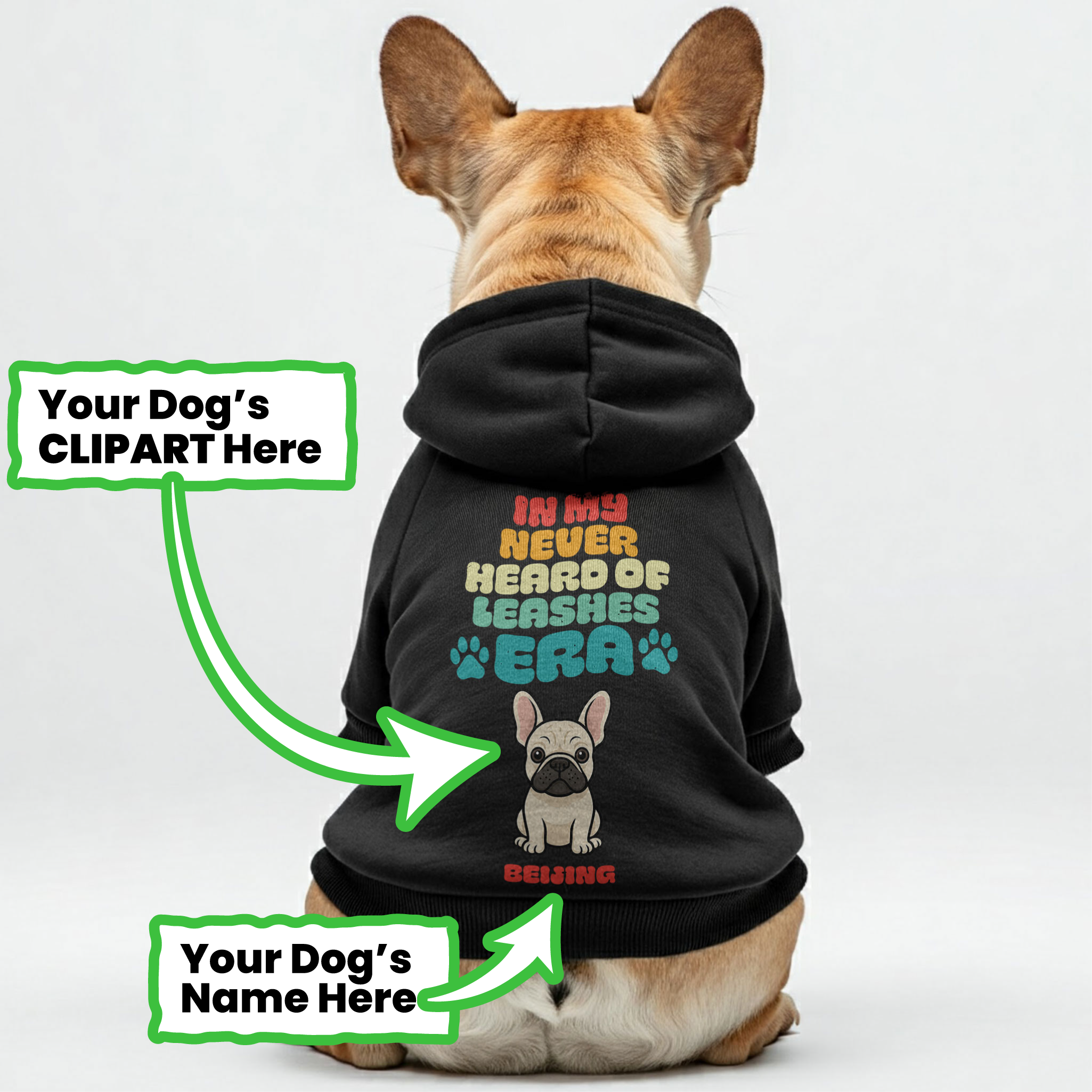 What Leash ? - Premium Personalized French Bulldog Hoodies With Funny Quotes, Custom Name, And Custom Clipart Matching Your Frenchie's Color – Stylish, Cozy, And Premium 100% Cotton Outdoor Style