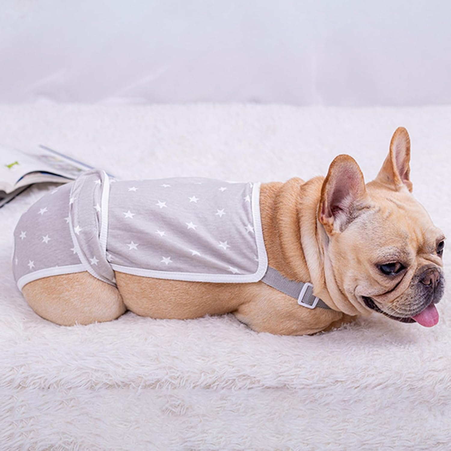 French Bulldog French Bulldog Shorts Diaper Pants Fashionable And