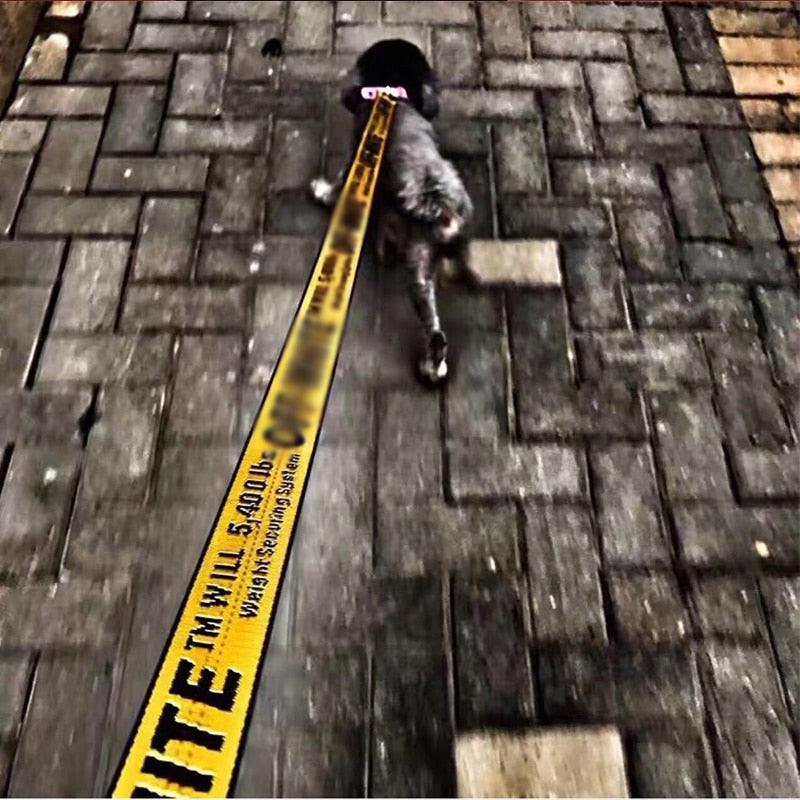 French Bulldog Luxury Leash & Harness Set For French Bulldog (ws311) Practical Dog Gear