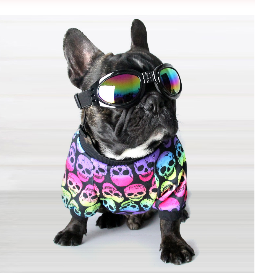 French Bulldog Skull Pattern Shirt For French Bulldog (ws80) Durable Dog Item