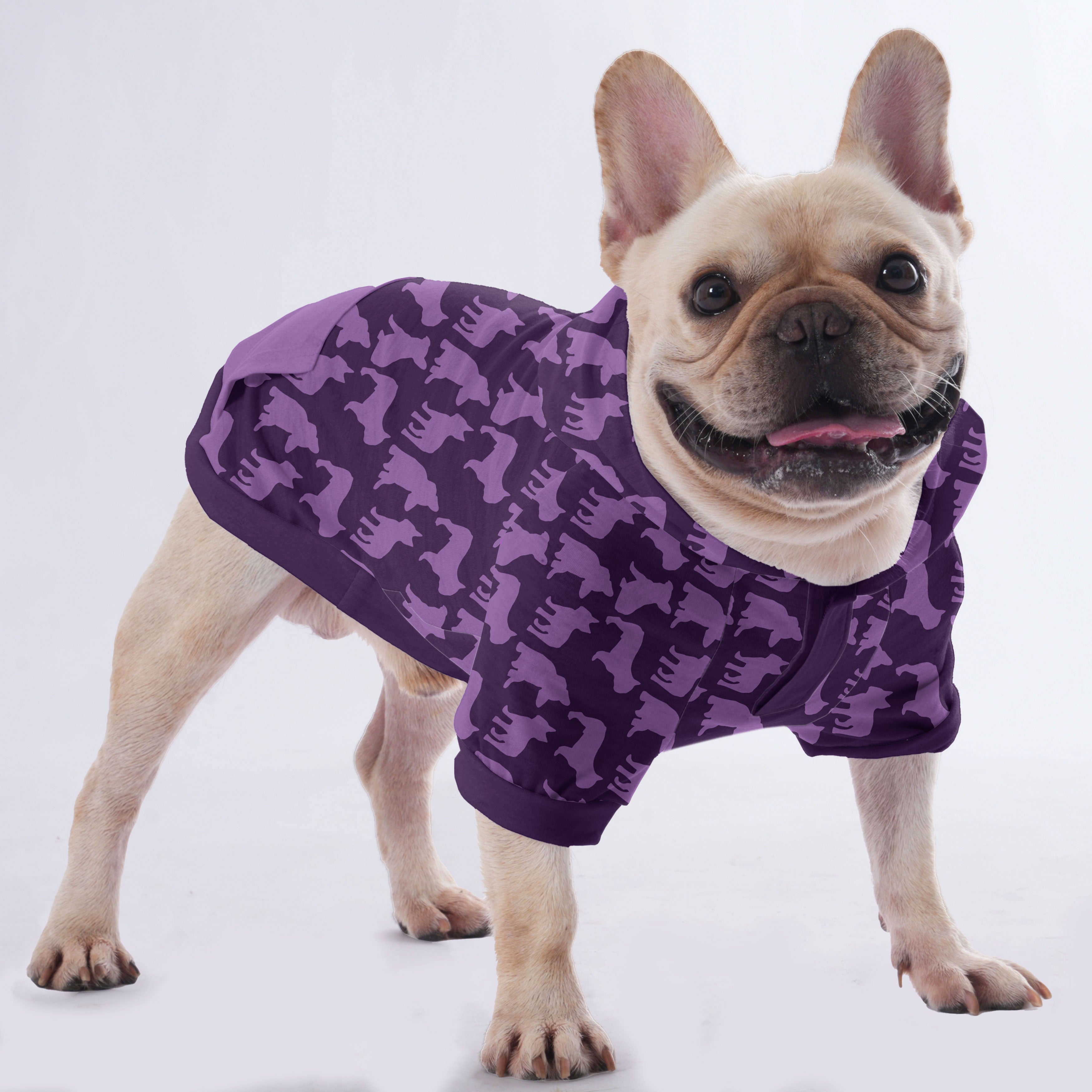 Groucho - Hoodies for French Bulldog | Frenchie Shop Original