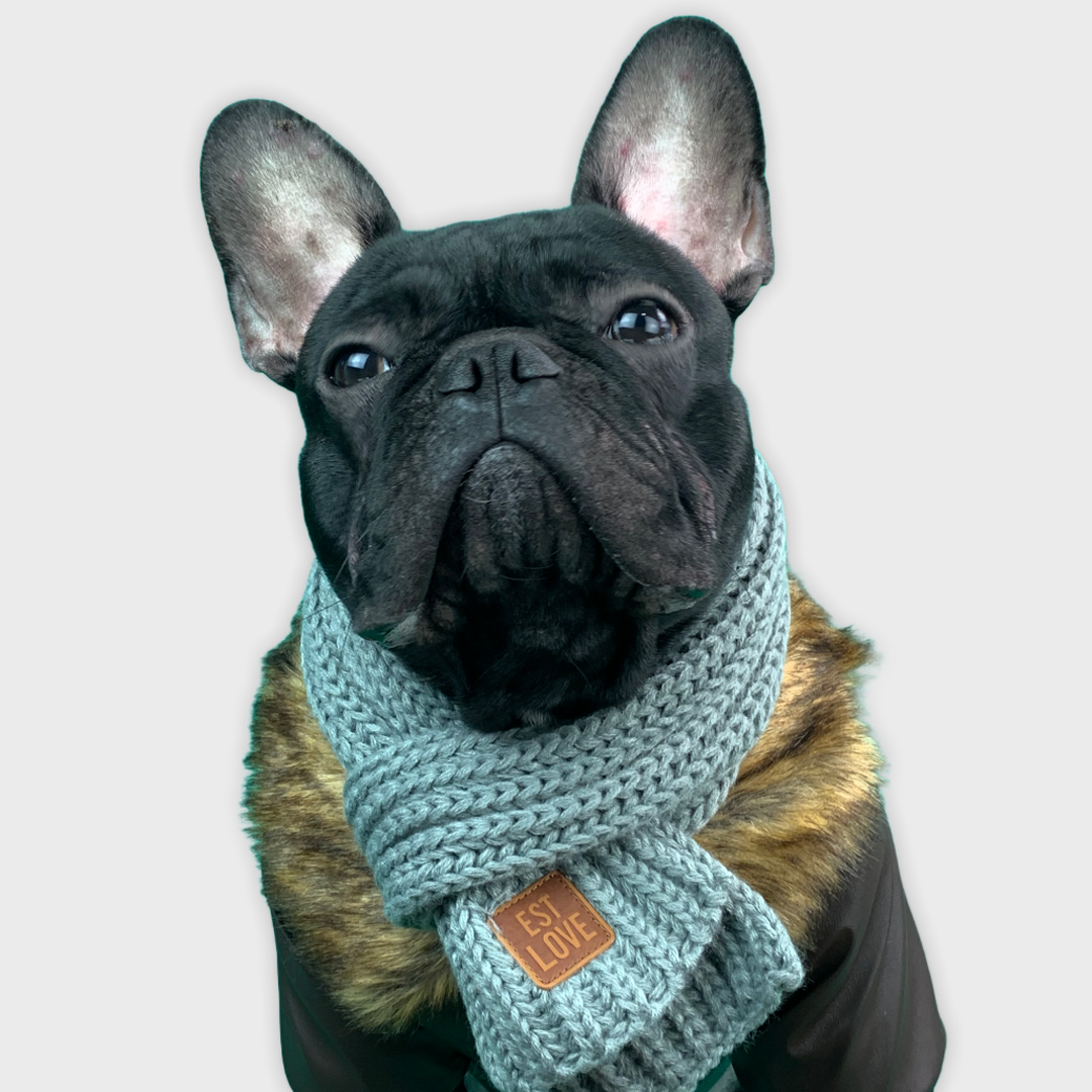Winter Scarf for French Bulldog