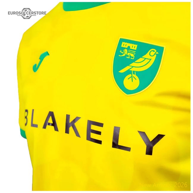 Latest Match-Ready Team Jersey Perfect For Match Days Officially