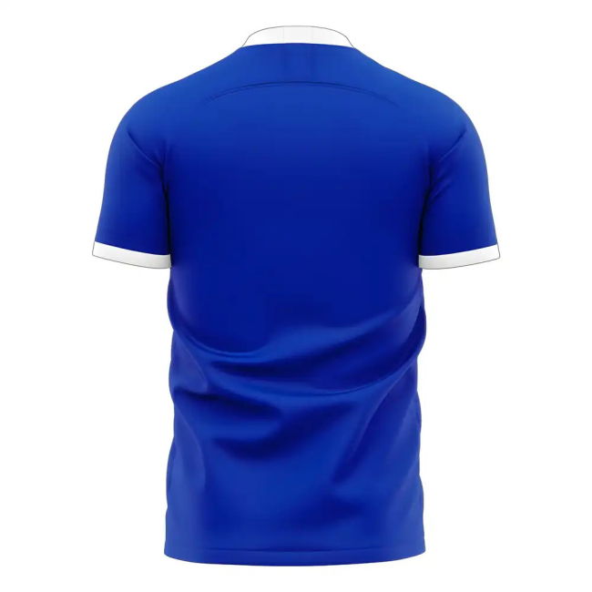 Chivas 2025-2026 Away Concept Football Kit (Libero) - Womens