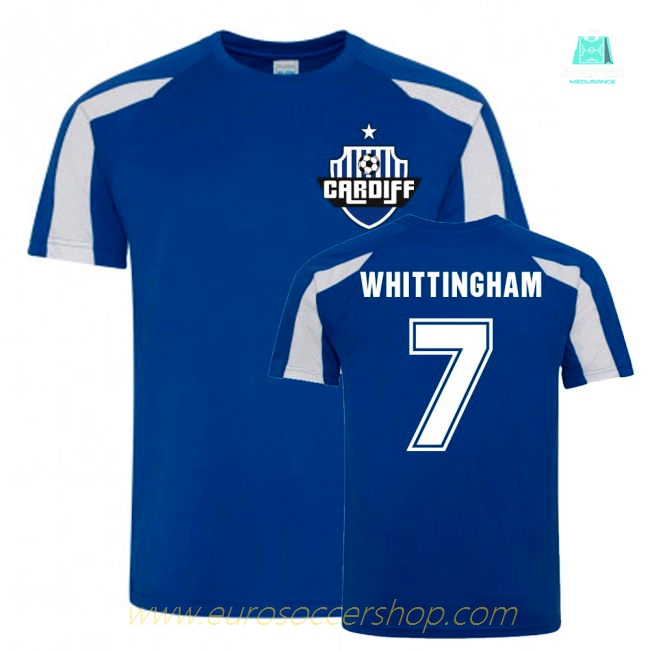 Peter Whittingham Cardiff City Sports Training Jersey (Blue)