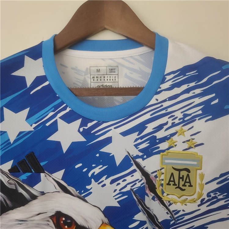 Authentic Argentina 2022 Commemroative Edition Soccer Jersey Football
