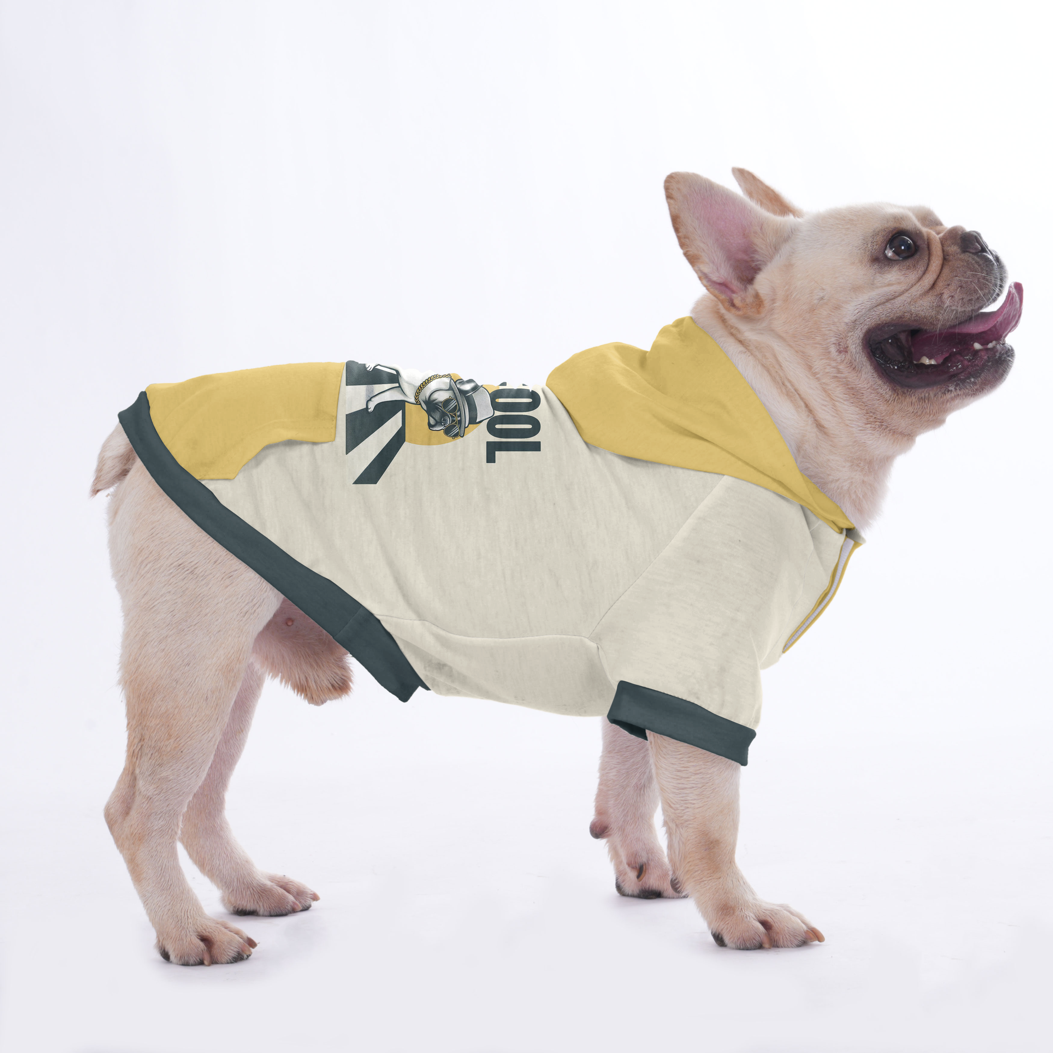 Shelby - Hoodies for French Bulldog | Frenchie Shop Original
