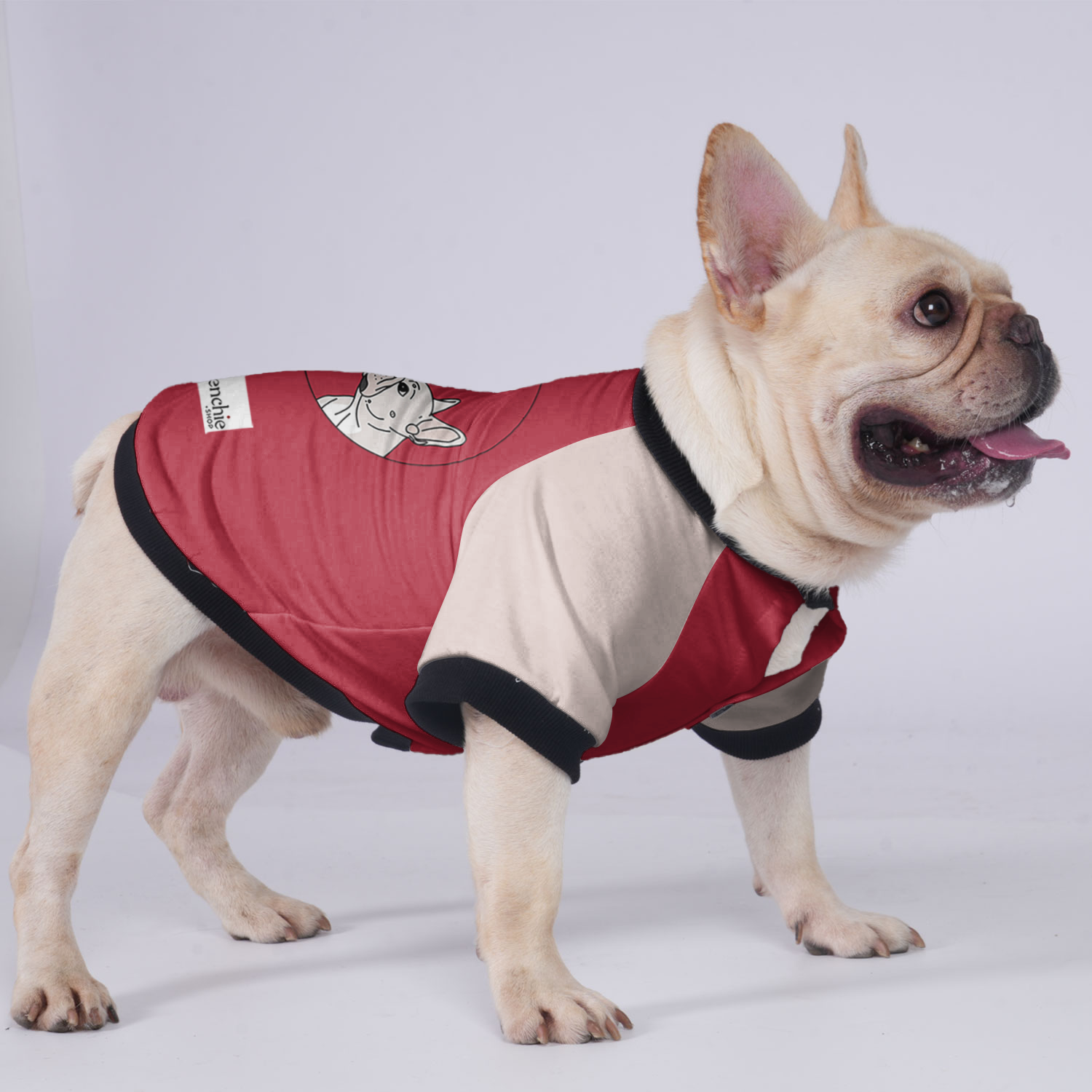 Premium Sophie - Jacket For French Bulldog for Pet Enthusiasts