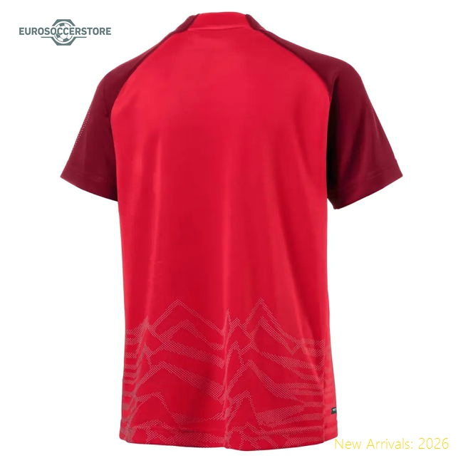 Non-toxic Football Team Kids Jersey 2025-2026 Puma Drycell