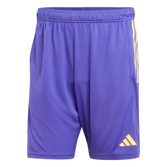 New Real Madrid Training Match Shirt 2023-2024