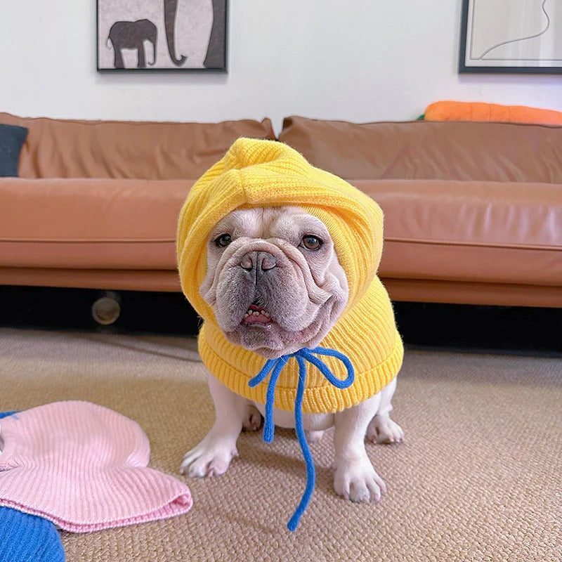 French Bulldog Wagloom Frenchie Knitted Snood Hat – Colorful Soft Wool