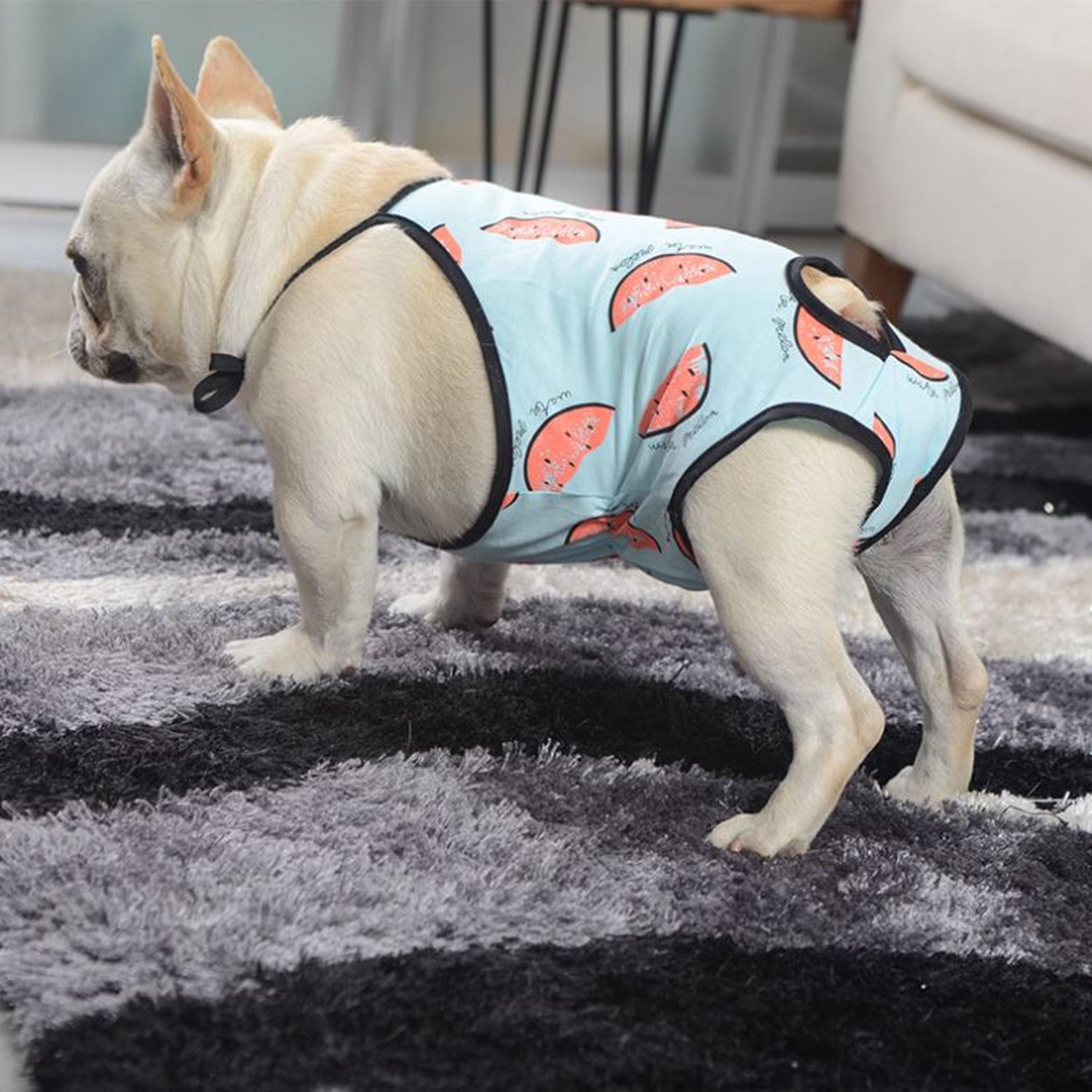 PupSafe Frenchie Female Physiological Pants – Soft Leak-Proof Adjustable Period Diaper