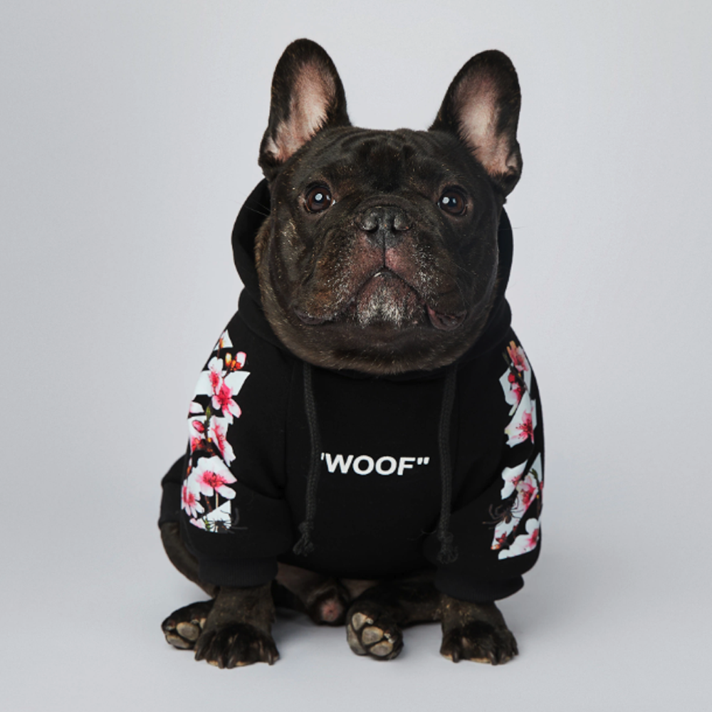 - French Bulldog Themed French Bulldog Woof Hoodie V2 Indoor Comfort