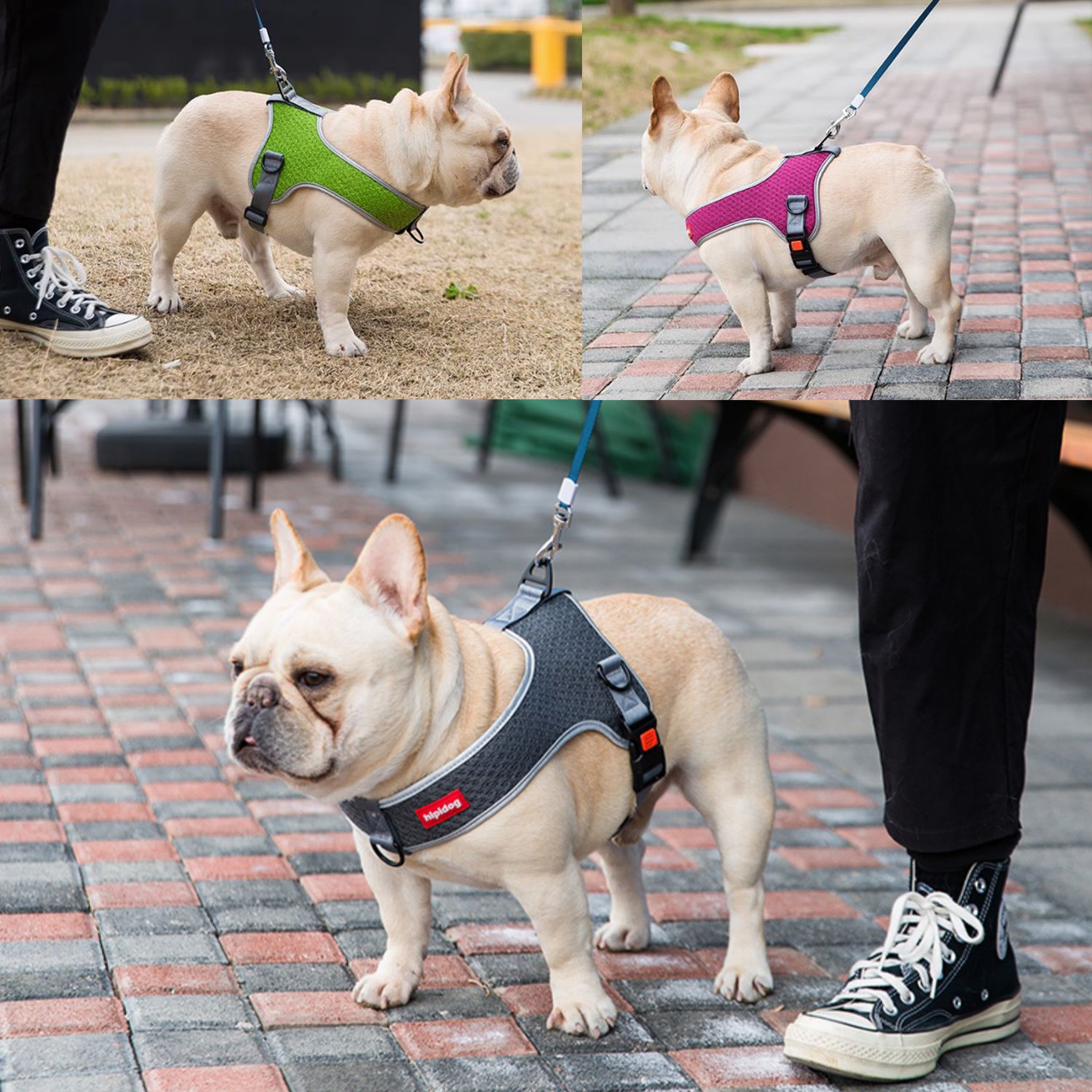 PawsMotion Premium French Bulldog Harness Vest with Leash Ultimate Walking Companion