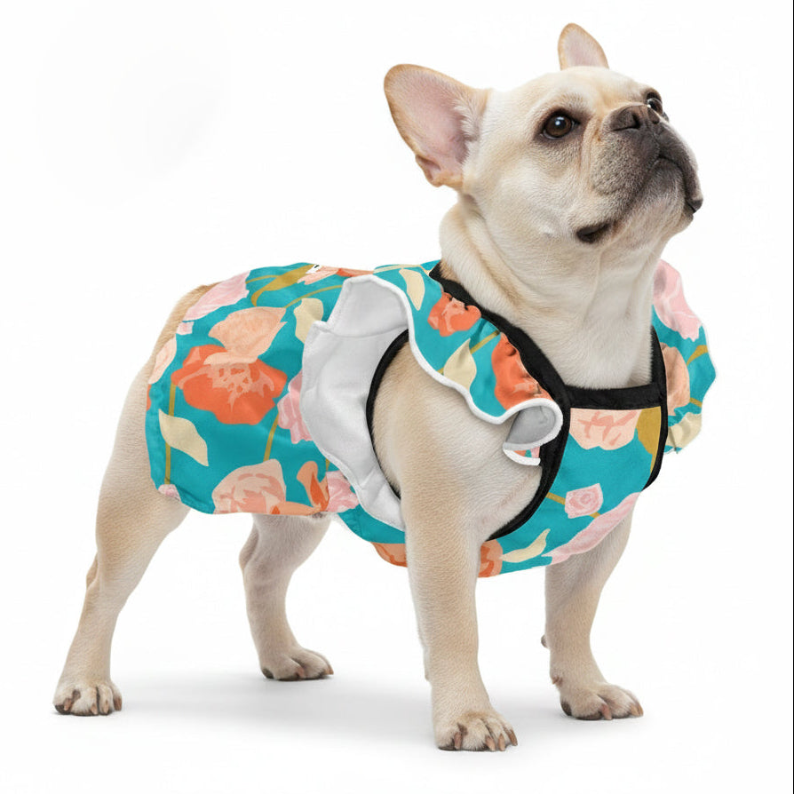 - Bulldog French Bulldog Dresses For Females Winter Wear | Durable Build