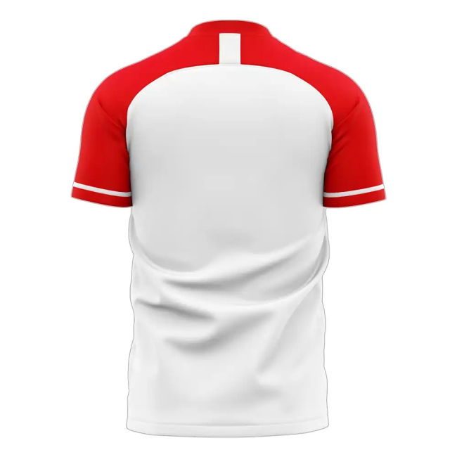 Limited-Edition Tunisia 2025-2026 Home Concept Football Kit (Libero) -