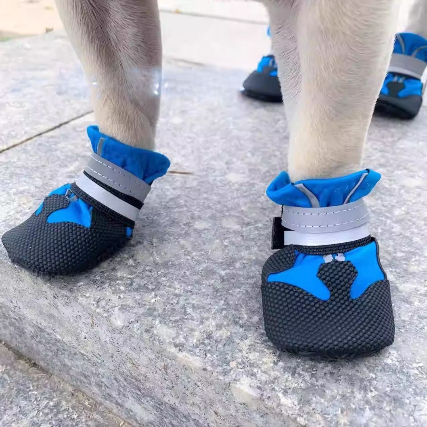 French Bulldog Waterproof Shoes – Soft-soled Pet Booties Dog Supplies