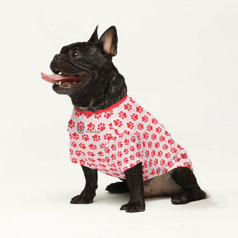 French Bulldog Dex Wool Sweater For Frenchies Soft Frenchie Apparel
