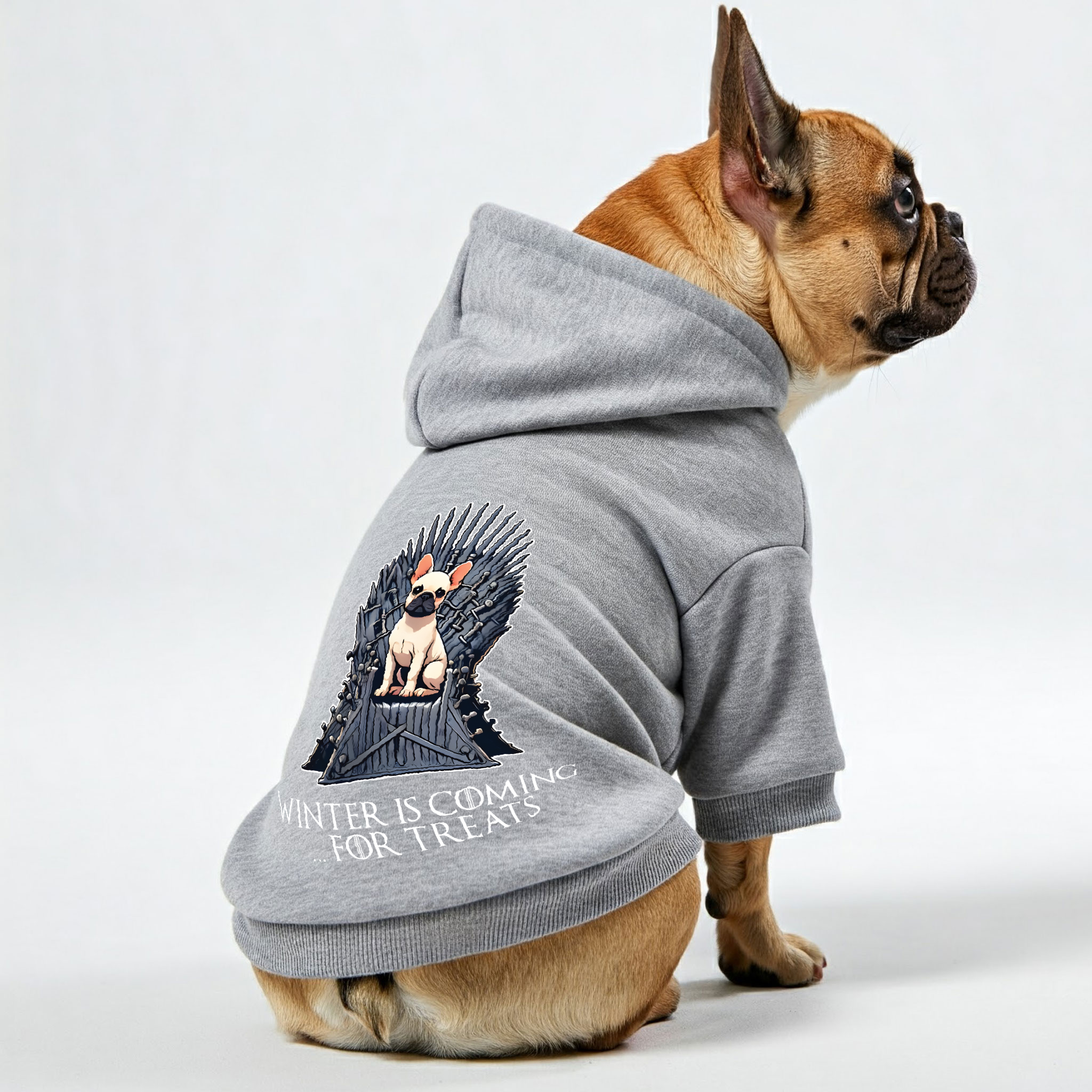 Winter Is Coming… For Treats - French Bulldog Themed Personalized French Bulldog Hoodies With Funny Quotes – Stylish, Cozy, And Premium 100% Cotton For Dog Lovers