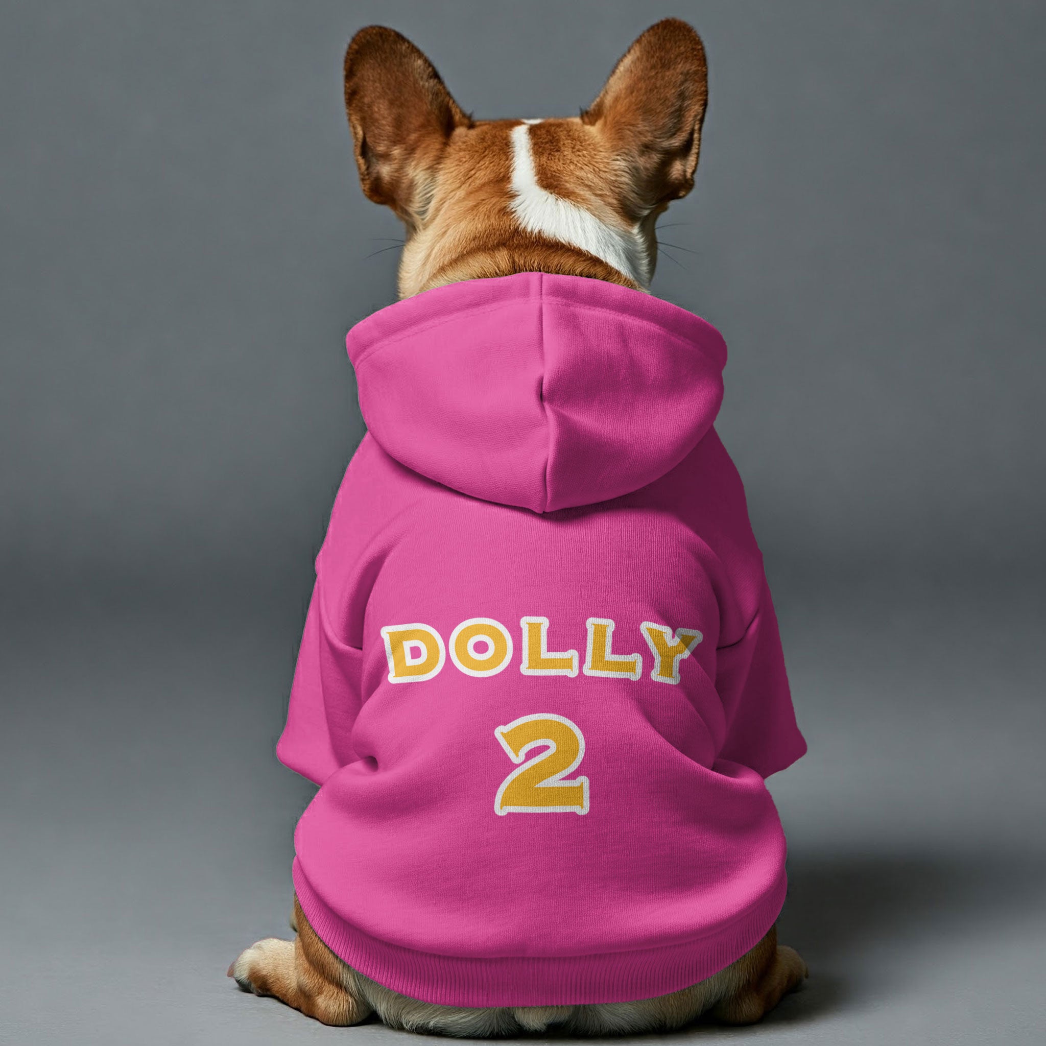 Trendy Personalized French Bulldog Hoodies With Custom Name And Numbe...